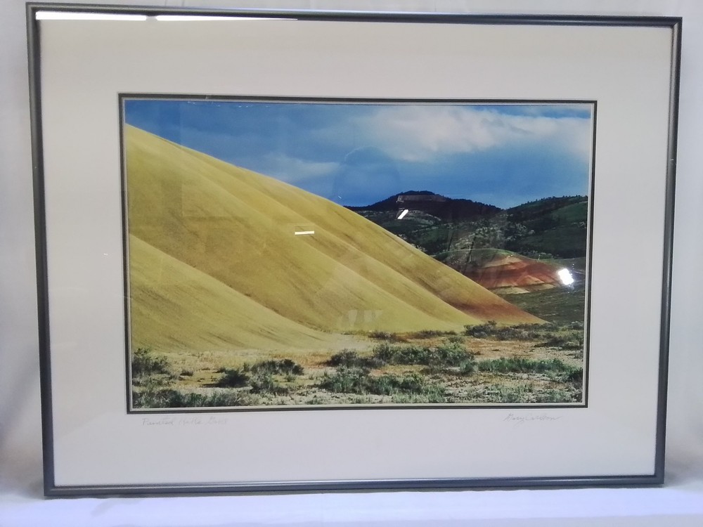 “Painted Hills Gold” – Framed Landscape Photograph by Gary Carlson