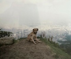 ALEC SOTH ‘Bogota, Columbia’ 2003/2021 SIGNED Ltd. Edition Photograph 6″x6″ NEW!