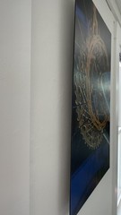 Ltd Edition Acrylic Mounted 3D Metallic Metal Fine Art Photograph Print NICE!
