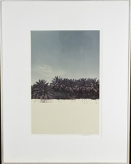 Untitled (Palm Trees) Signed Photograph By Chet d’Autremont Framed 21 1/2″x17″