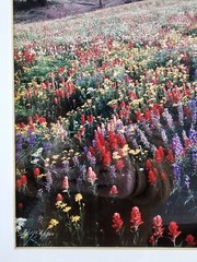 Signed Limited Edition Aaron Goldenberg 35mm Art Photograph, Utah 39×24 Framed