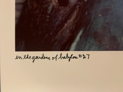 Rare 1979 Avery Danziger In The Gardens Of Babylon #27 Photography Art Print