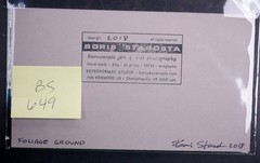Boris Starosta 3D Stereoview – CREATIVE Foliage Ground Signed 2018