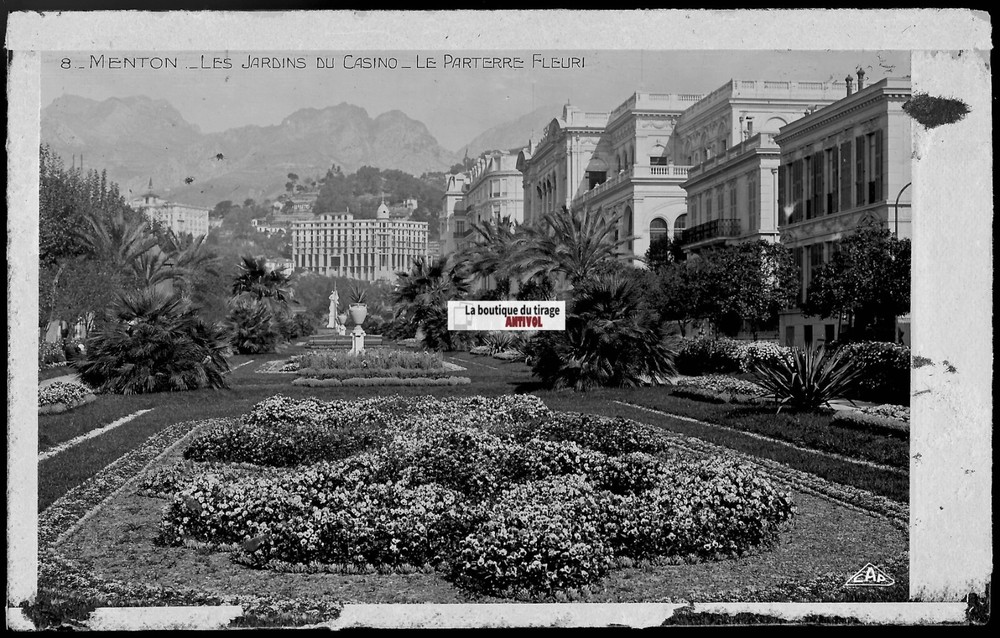 Plate Glass Photo, Negative Black & White 3 1/2×5 1/2in, Menton, Gardens Casino