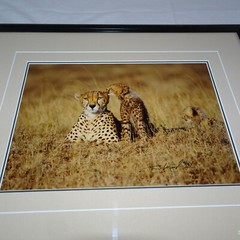 THOMAS MANGELSEN SIGNED 1994 SECRETS OF THE SAVANNAH LE 118/950 10X14 IMAGE FRM