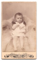 Photograph Adolph Heinsch, Greiz i. V., Carolinenstr. 36, plate camera and painting