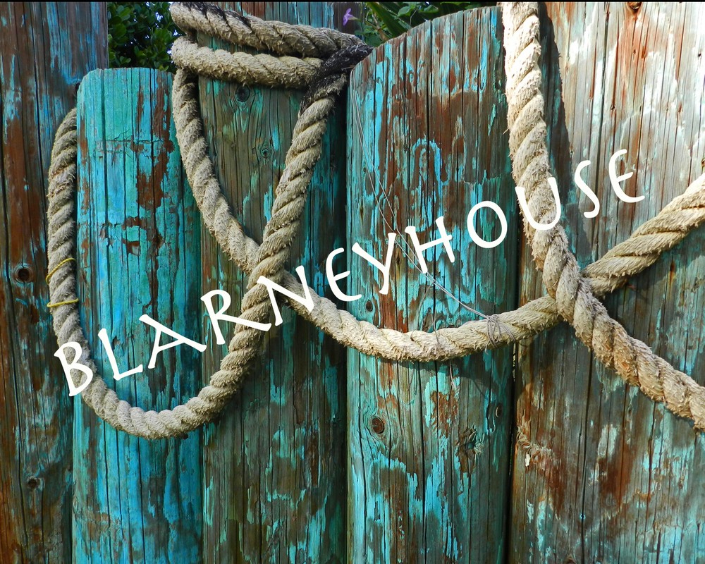 GORGEOUS PHOTO OF WEATHERED PRIMITIVE AQUA PILINGS & NAUTICAL ROPE! HAWAII!