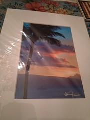 Palm Tree At Dusk Photo Matted Unframed Signed Sherry Hunter New