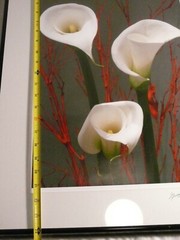 TRIO OF CALLA LILIES PHOTOGRAPHER SIGNED GREGG FELSEN