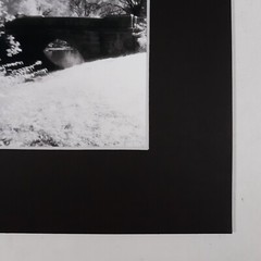 Black Mat Photo Landscape Park Infrared Photography Bridge Trees Art Print