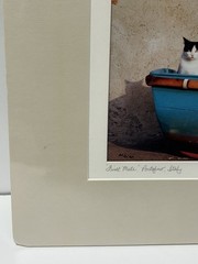 John And Debora Scanlan AP Italy Cat Photograph Print With COA Signed Numbered