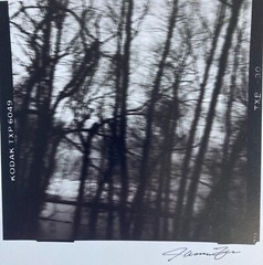 JAMES FEE Signed SEPIA-TONED GELATIN SILVER PRINT Blurred Landscape Los Angeles