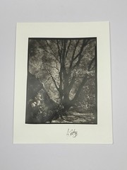 Jim Fitzgerald Untitled Photo Signed Photograph Carbon Transfer