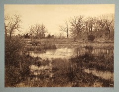 CONSTANT ALEXANDRE FAMIN mounted albumen [Marsh Landscape] Fontainebleau Forest