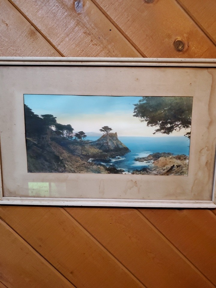 Antique Art Deco Hand Tinted Photograph 10″X20″ Inch Frame Is 17X27″ Inch