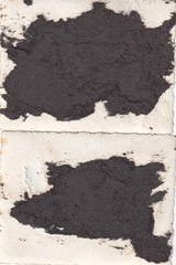 2 x Photo – Shop Paper Goods “Paper Barck” – Circa 1930s