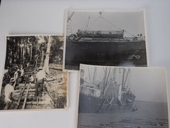 Collection of Photos Depicting Wood Working Operations in Colombia Circa 1950s