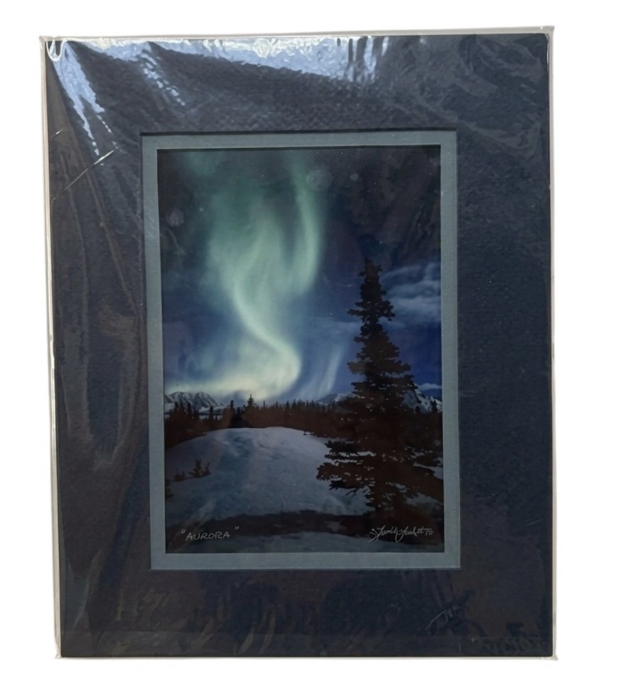 Onlooker Todd Salat Alaska Aurora Borealis Landscape Signed Photograph Color