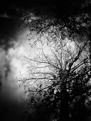 framed original artwork Photography