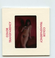Org Camera Club Nude 1960s 35mm Slide / Negative- Long Dark Hair- Woman- Legs 22