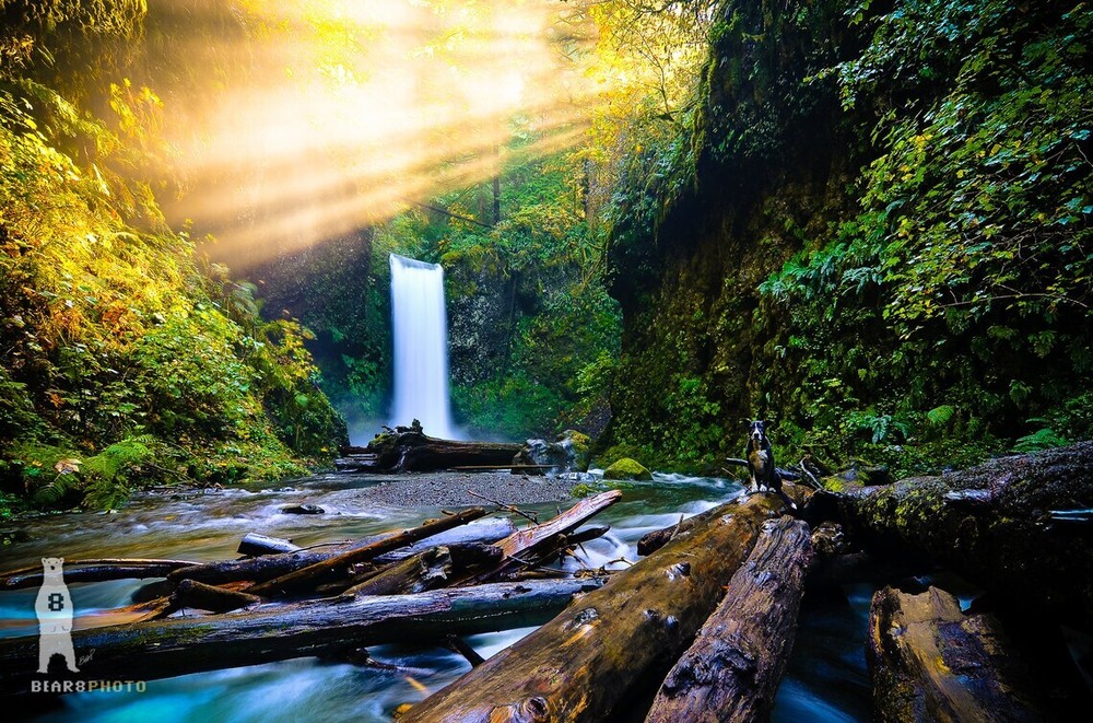 Wiesendanger Falls, Oregon Waterfalls, Columbia River Gorge, Pacific Northwest