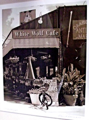 NEW Signed Harriet Duncan Art Print “White Wolf Cafe” Orlando FL Location Framed