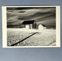 Minor White Art Photo Print Card By Fotofolio – Vicinity Of Danville NY, 1955