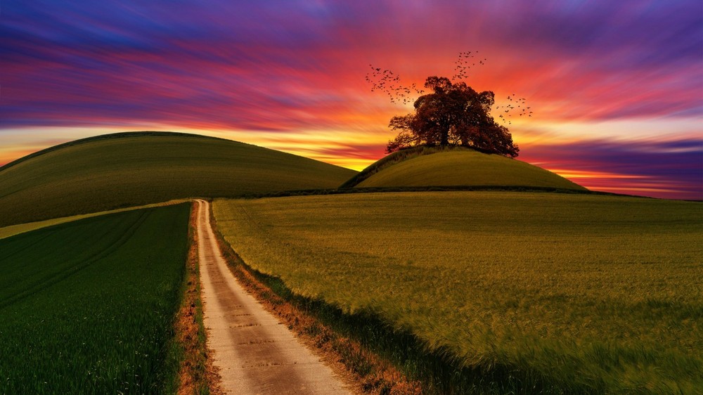 Digital Image Picture Photo Wallpaper Background Desktop AI Art Sample Product