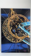 Ltd Edition Acrylic Mounted 3D Metallic Metal Fine Art Photograph Print NICE!