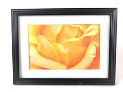 YELLOW ROSE, 4×6 ” MATTED AND FRAMED PRINT, READY TO HANG, GREAT GIFT!