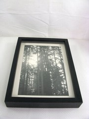 California Redwoods Triptic B&W Original Handmade Art Photographs Framed