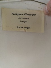 Signed Limited Edition Photograph Portuguese Flower Pot Portugal 2/250 Framed