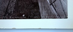 2 x Photo Album around 1890 LAUSANNE Chemin de fer + Montreux, Schroeder Zurich