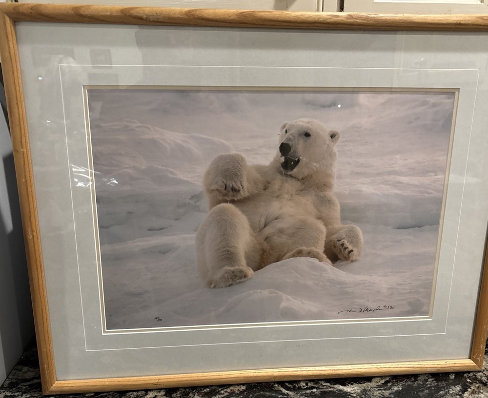 Thomas D. Mangelsen Polar Bear Limited Edition, 597/950, Signed & Framed