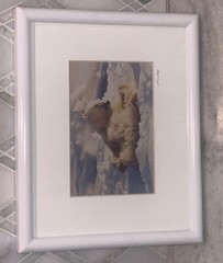 Vintage Photo Jim Stamates Polar Bear Kickin’ Back Framed Matted 10.25”x 8 3/8”