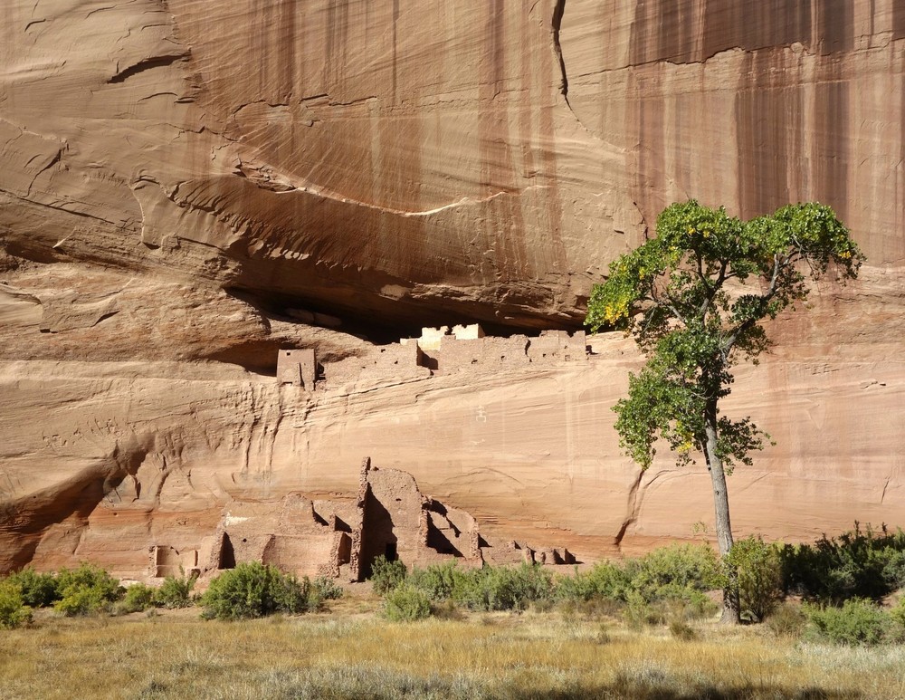 Canyon de Chelly, AZ, White House Ruins, Cliff Dwellings, Navajo, Southwest