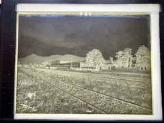 15 Vintage Large Histo. Glass plates 18×24 cm Ringsdorff-Werke Mehlem/Bonn c.1914