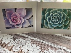Art Photos on Card Stock. 8×10 ready to frame. Lot of 8 pieces, various themes.