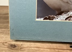 VTG 1982 Art Photography “Gannets Three” Sea Birds Matted Signed Beach Decor