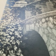 Original Photo Stone Bridge Over Waterfall Palm Trees Ferns Vines 1962 Furbos
