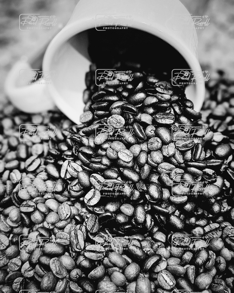 Morning Coffee 8×10 Photo Matted In 11×14 Mat