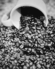 Morning Coffee 8×10 Photo Matted In 11×14 Mat