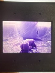 Vintage 35mm Colour Slide Portrait Woman Original Slide Photograph