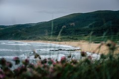 Galicia original photo print limited edition wall print landscape nature Spain