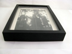 California Redwoods Triptic B&W Original Handmade Art Photographs Framed