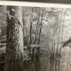 Blair Pittman: “Old River” – Original Gelatin Silver Print Photograph