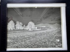 15 Vintage Large Histo. Glass plates 18×24 cm Ringsdorff-Werke Mehlem/Bonn c.1914