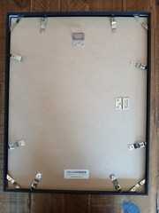 Laurent Baheux “Body Guards”Framed Limited Edition Art Photograph | YellowKorner