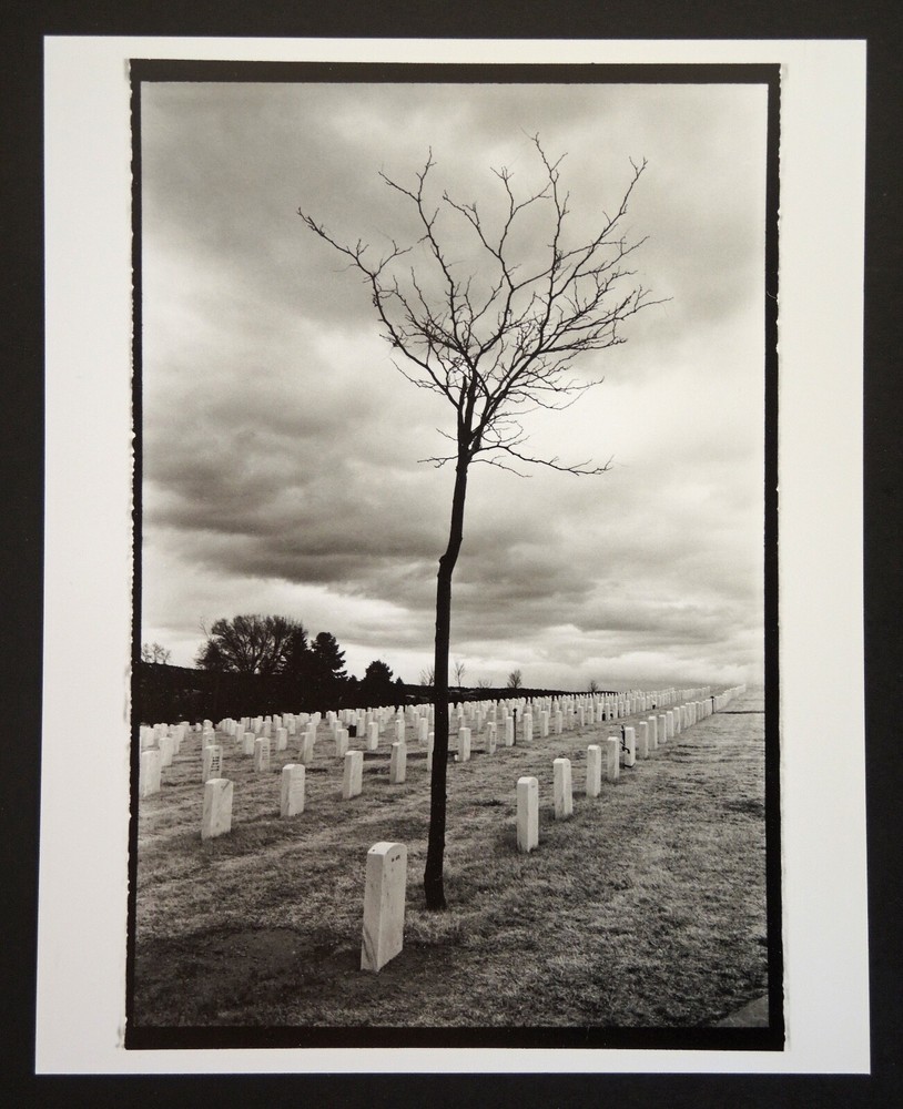 Fine Art Darkroom Print from “Cemetery Tree 2 ” Santa Fe, NM