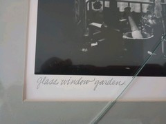 Johnny Donnels Glass Window Garden Signed New Orleans Photo Cracked Glass w/ Bio
